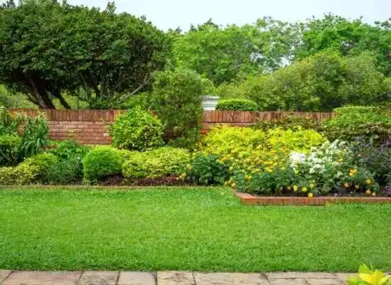 landscaping services Dallas